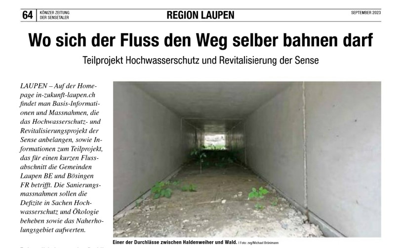 Könizer Zeitung – Der Sensetaler: Wo sich der Fluss den Weg selber bahnen darf